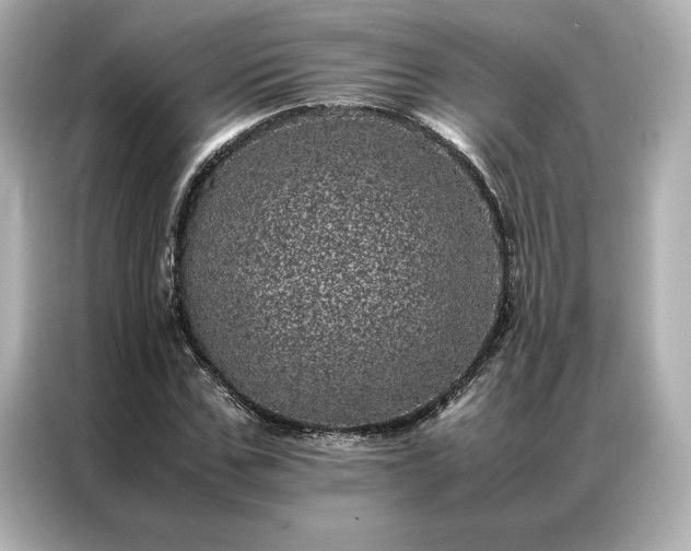 X0000086970971200704301254