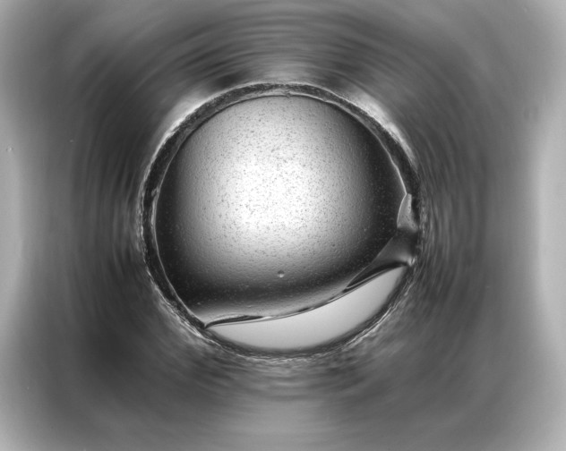 X0000086970972200704301254