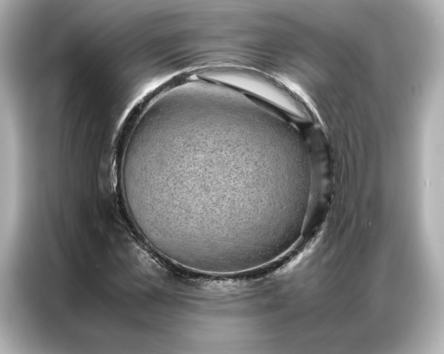 X0000086970973200704301254