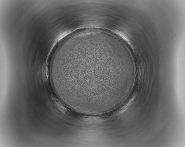 X0000086970974200704301254