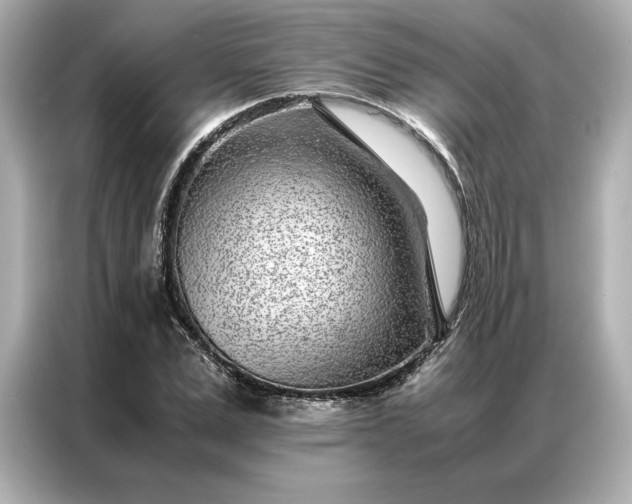 X0000086970975200704301254