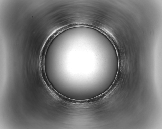 X0000086970976200704301254