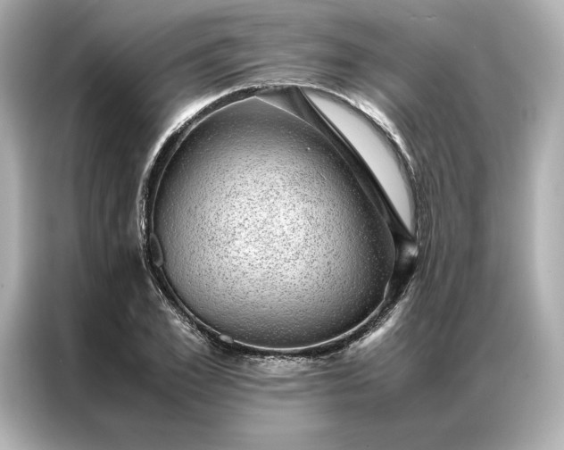 X0000086970981200704301254