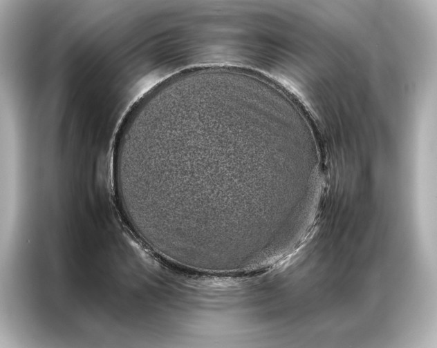 X0000086970982200704301254