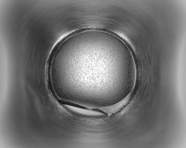 X0000086970983200704301254