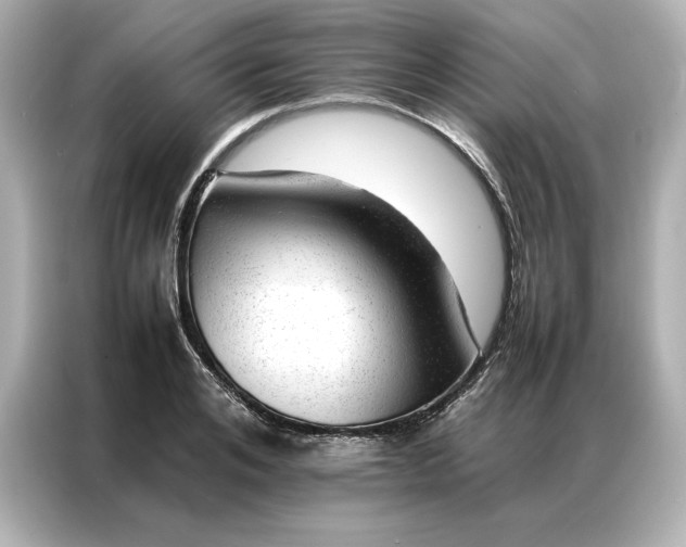 X0000086970984200704301254