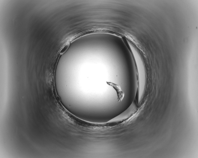 X0000086970985200704301254