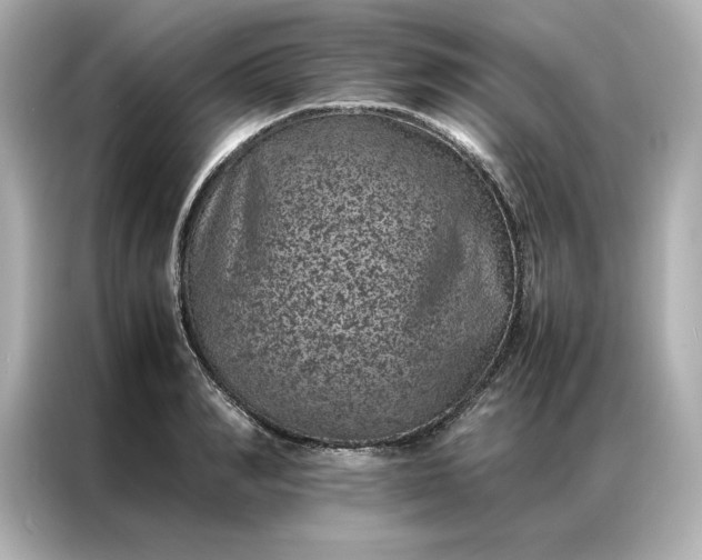 X0000086970990200704301254