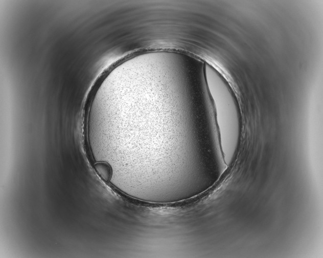 X0000086970992200704301254