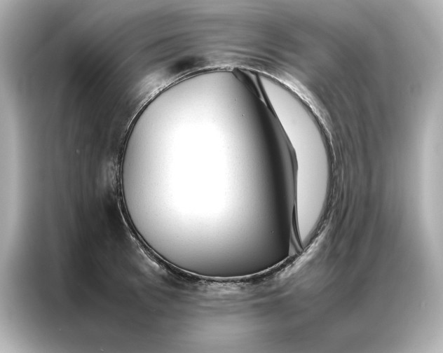 X0000086970993200704301254