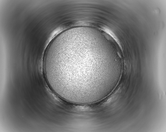 X0000086970994200704301254