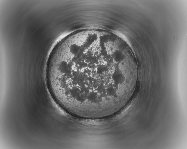 X0000086970995200704301254