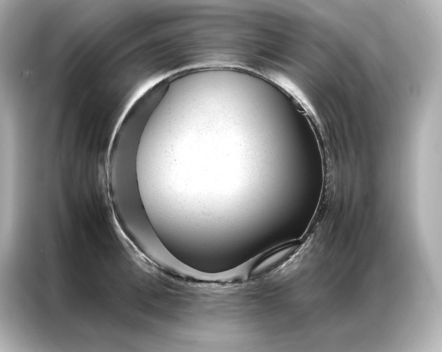 X0000086970996200704301254