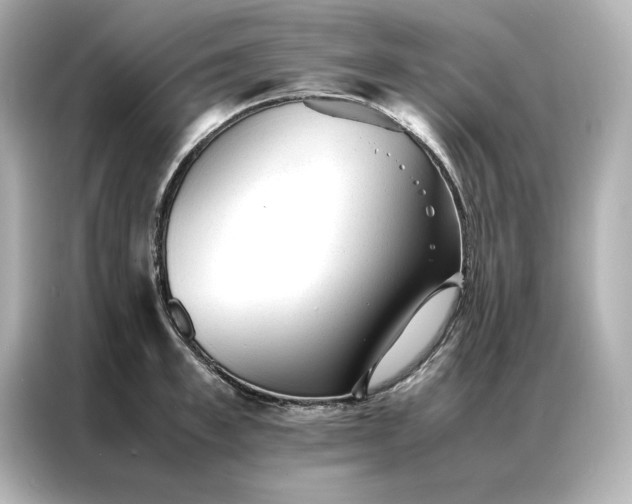 X0000086970997200704301254