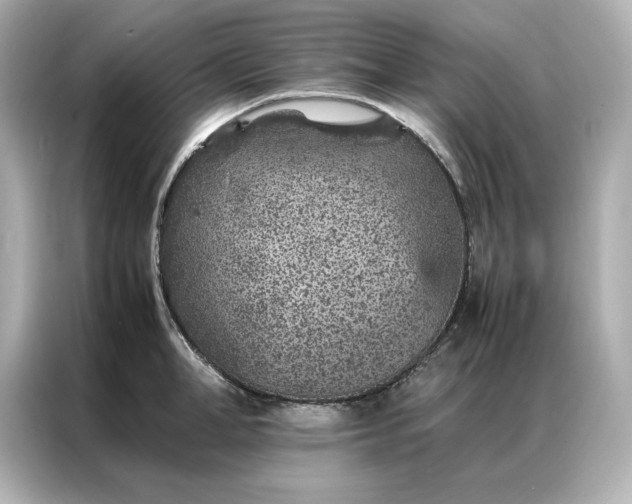 X0000086970998200704301254