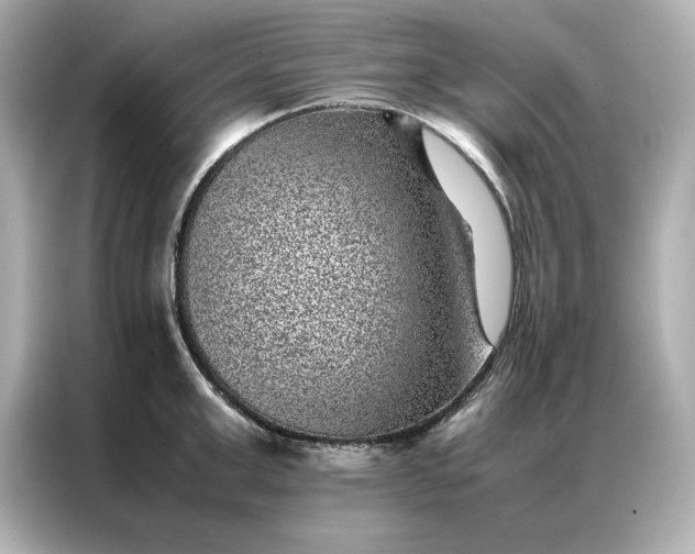 X0000086970999200704301254