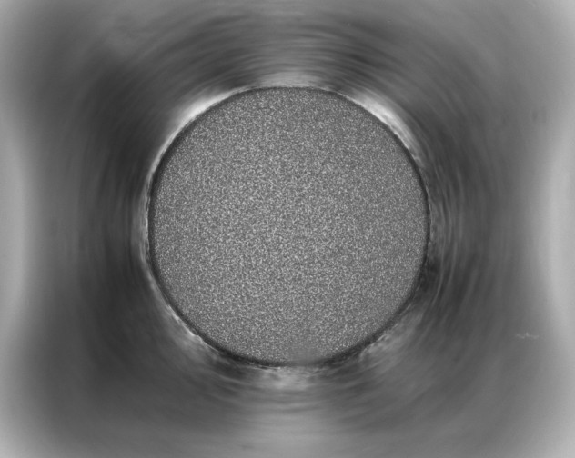 X0000086971000200704301254