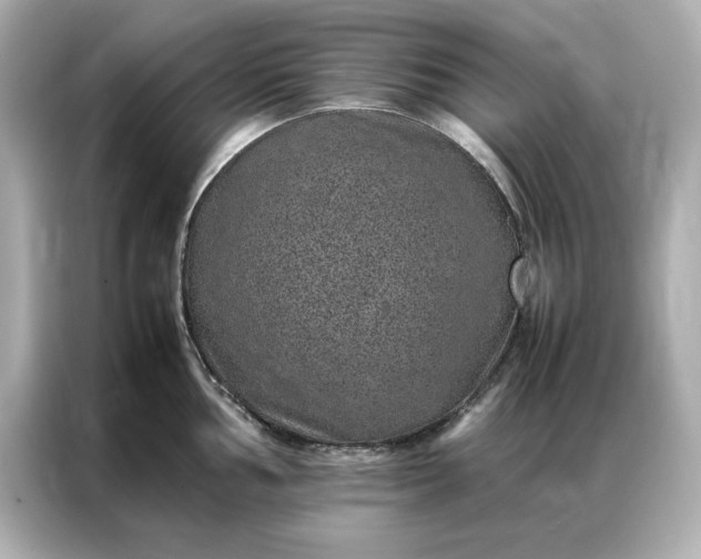 X0000086971002200704301254