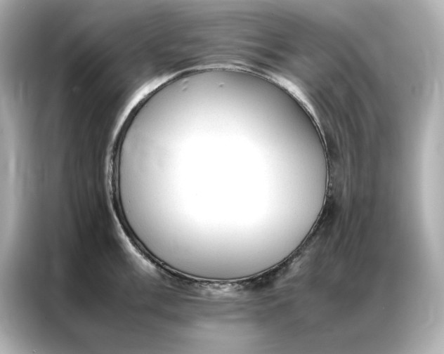 X0000086971003200704301254