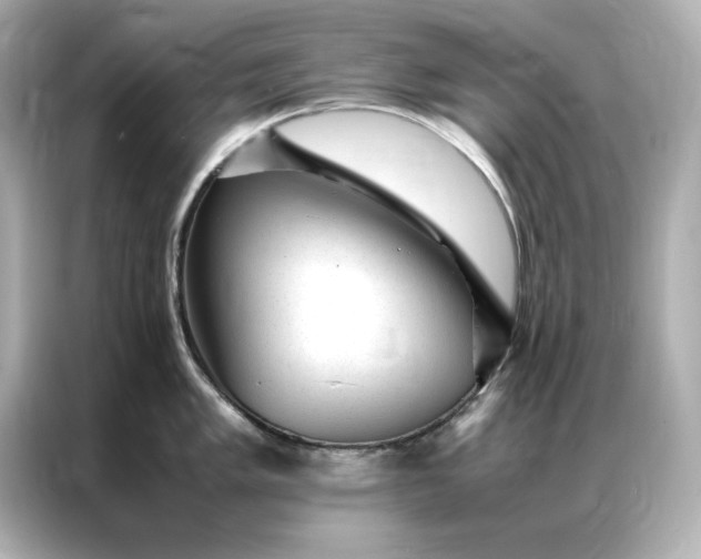 X0000086971005200704301254