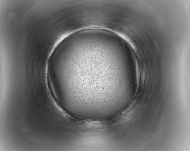 X0000086971006200704301254