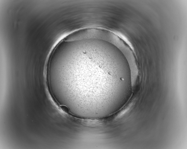 X0000086971007200704301254