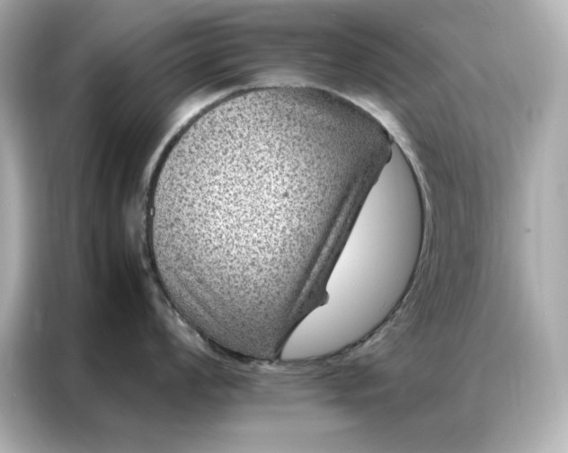 X0000086971008200704301254