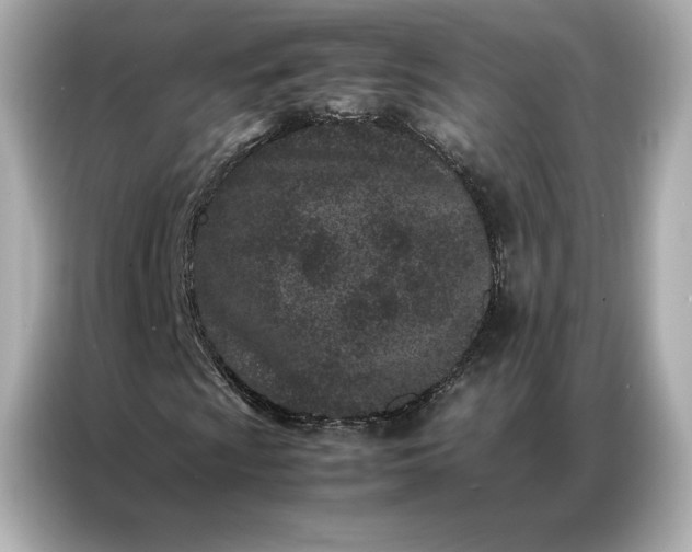 X0000086971009200704301253