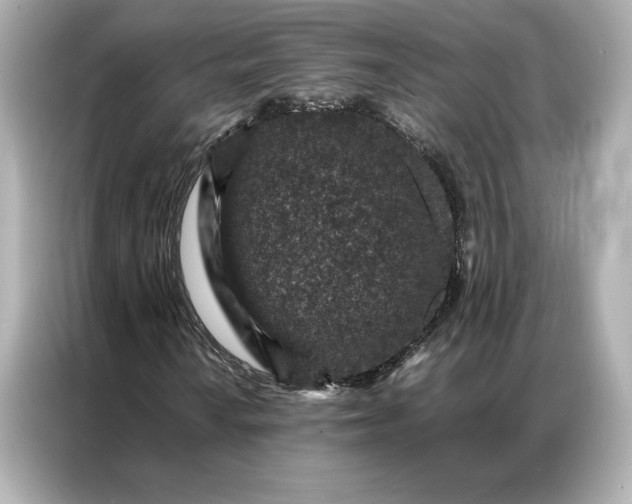 X0000086971010200704301253