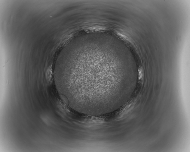 X0000086971011200704301253