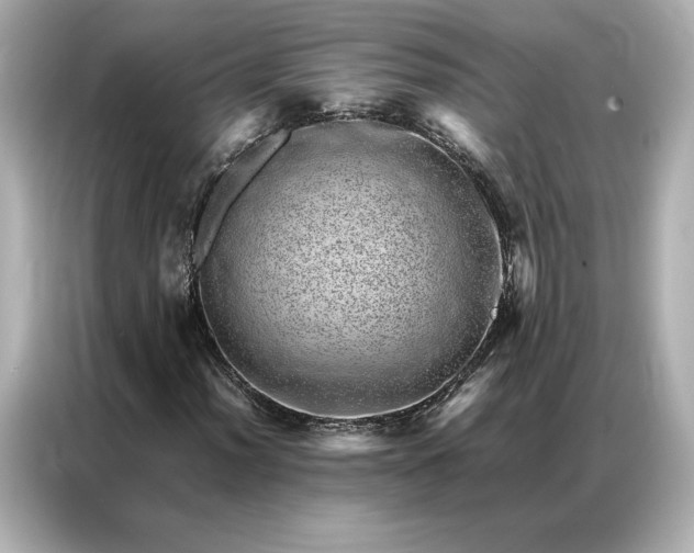 X0000086971012200704301253