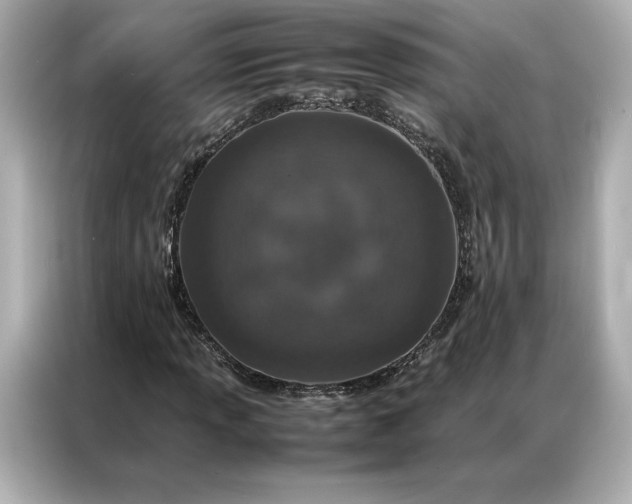 X0000086971013200704301253