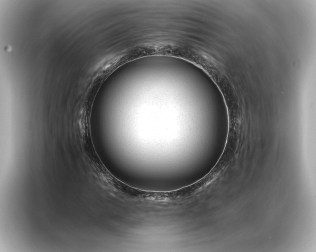 X0000086971014200704301253