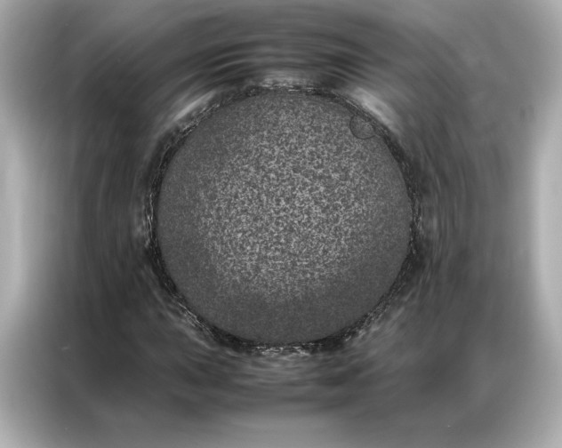 X0000086971015200704301253