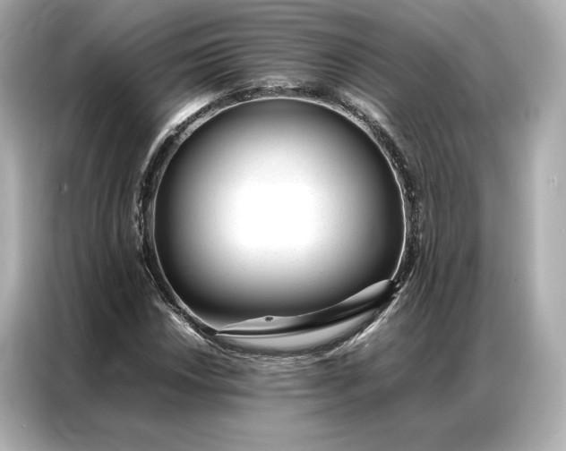 X0000086971018200704301253