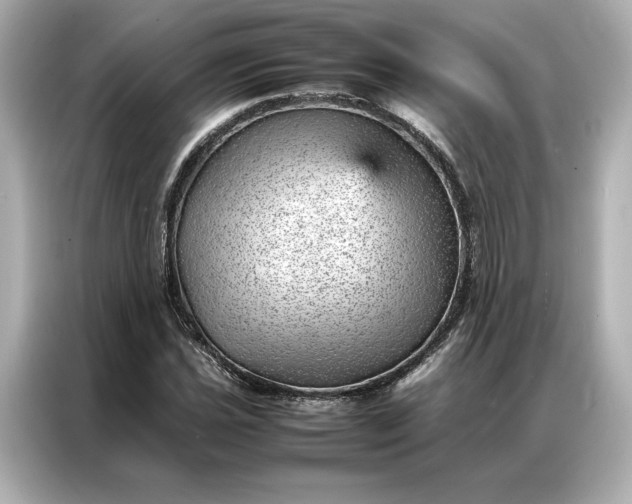 X0000086971021200704301253