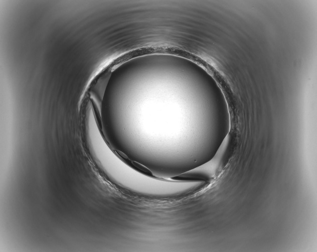 X0000086971022200704301253