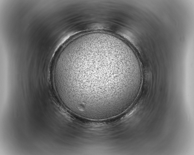 X0000086971023200704301253