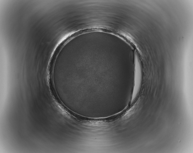 X0000086971024200704301253