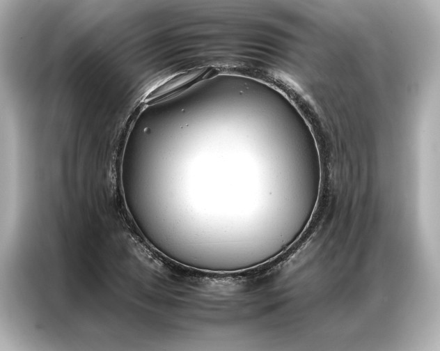 X0000086971025200704301253