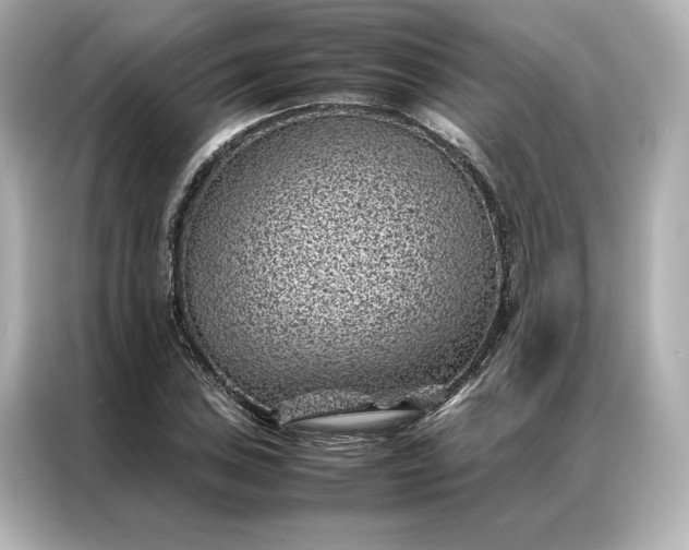 X0000086971027200704301253