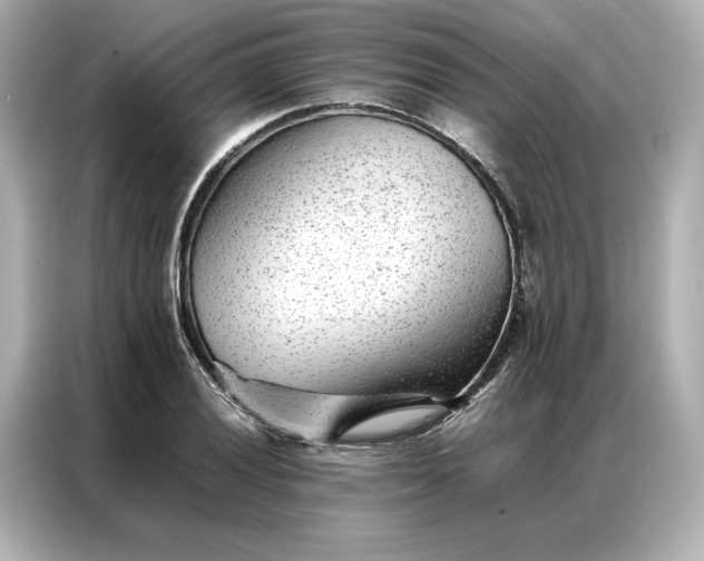 X0000086971028200704301253