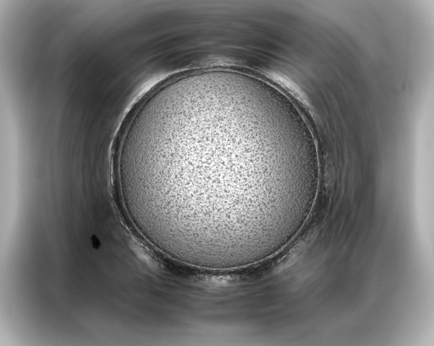 X0000086971031200704301253