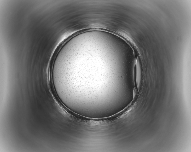 X0000086971032200704301253