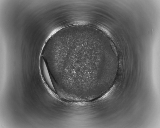 X0000086971034200704301253