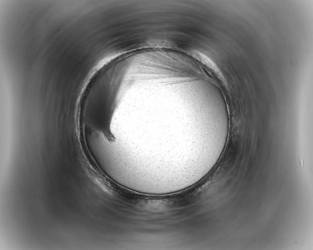 X0000086971035200704301253