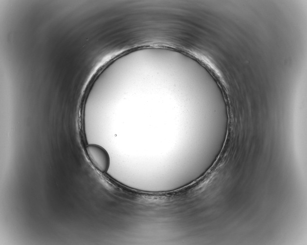 X0000086971040200704301253