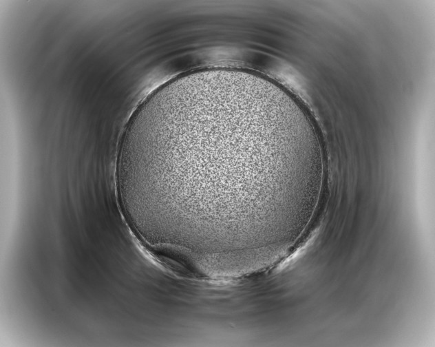 X0000086971041200704301253