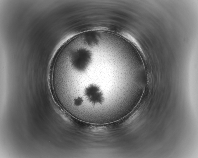 X0000086971043200704301253