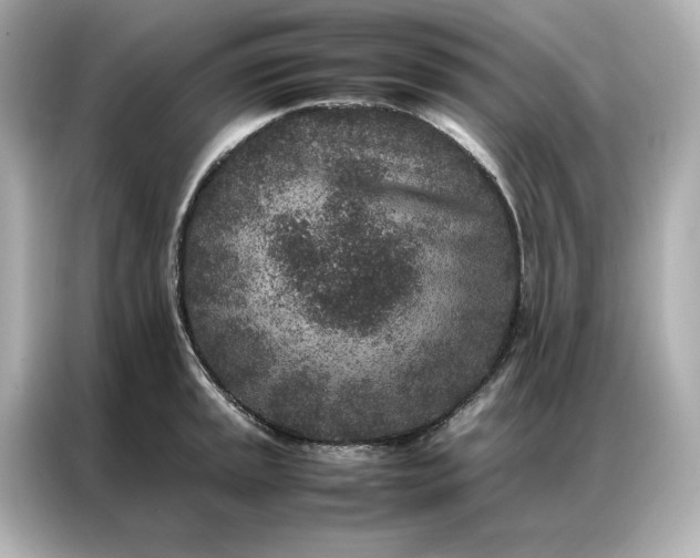 X0000086971045200704301253